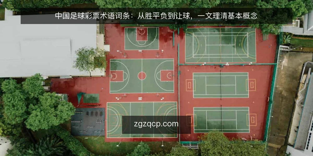 中国足球彩票术语词条:从胜平负到让球,一文理清基本概念 — 中国足球彩票是什么? 配图