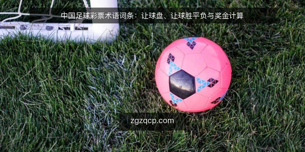 中国足球彩票术语词条:让球盘、让球胜平负与奖金计算 — 中国足球彩票的常见术语有哪些? 配图