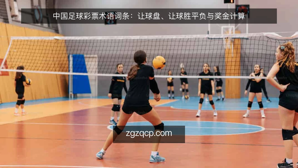 中国足球彩票术语词条:让球盘、让球胜平负与奖金计算